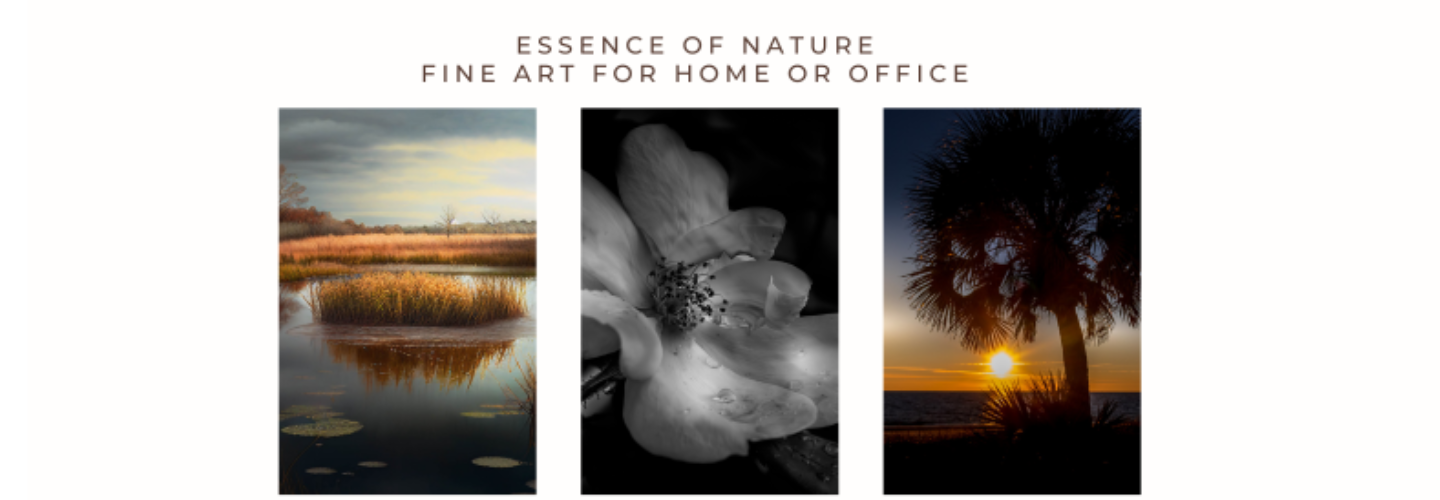 Essence Of Nature Fine Art Photography 