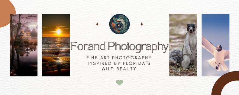 Essence Of Nature Fine Art Photography