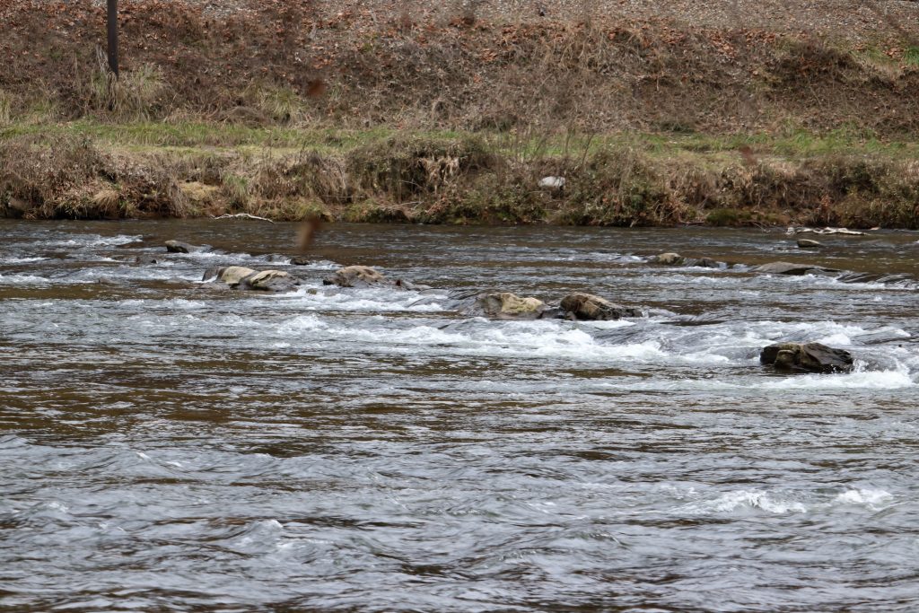 Life is Like A River.  New Year Goals. 