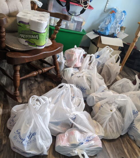bags from shopping filled with canned and boxed goods for prepping
